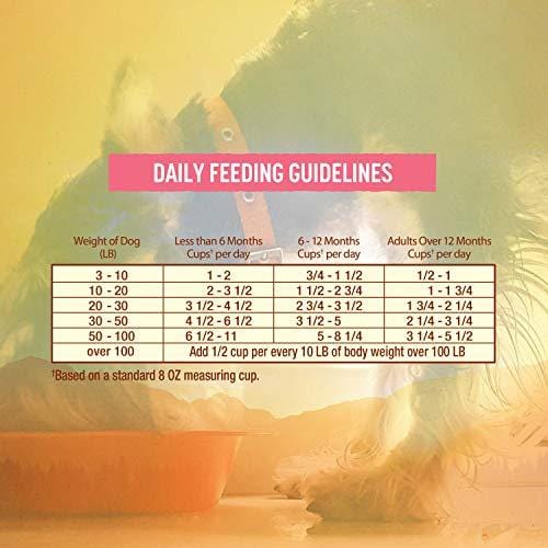 Nature's Recipe Grain Free Easy To Digest Dry Dog Food, Salmon, Sweet Potato & Pumpkin Recipe, 24 lb