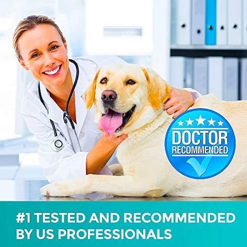 Organic Hemp Oil for Dogs & Cats - 2000mg - Premium Hemp Extract - Anxiety Relief for Dogs - Grown & Made in USA - Omega 3, 6 & 9 - Supports Hip & Joint Health - Natural Relief for Pain