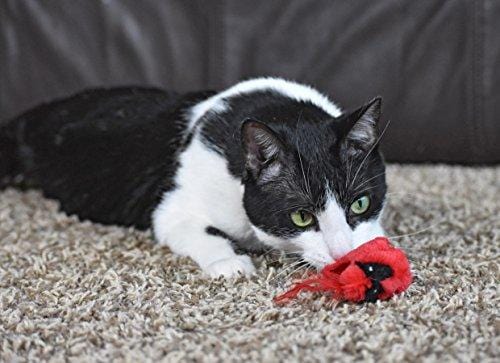 OurPets Play-N-Squeak Real Birds Fly Over Interactive Cat Toy