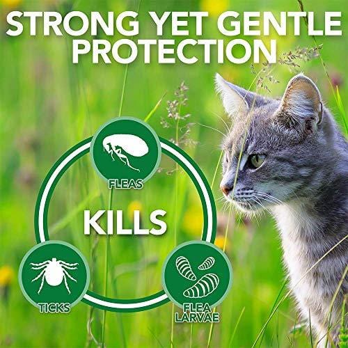 Vet's Best Flea & Tick Shampoo for Cats | Premium Shampoo & Cat Flea Treatment | 12 oz