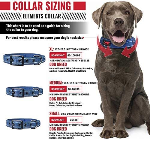 Heavy Duty Dog Collar With Handle | Ballistic Nylon Heavy Duty Collar | Padded Reflective Dog Collar With Adjustable Stainless Steel Hardware | Convenient Sizing for All Breeds