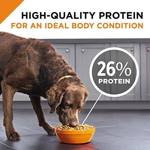 Purina Pro Plan Dry Dog Food; SAVOR Shredded Blend Beef & Rice Formula - 35 lb. Bag