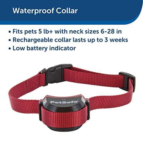 PetSafe Stubborn Dog Stay + Play Wireless Fence Receiver Collar, Waterproof and Rechargeable, Tone and Static Correction