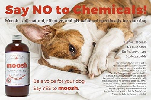 Natural Dog Shampoo. Anti-Bacterial-Anti-Fungal- Anti-Itch , Promotes Healthy Hair and Skin, Helps Hot Spots. Shea Butter, Neem and Argan Oil, Aloe Vera and Bentonite. Concentrated-Organic by Moosh ...