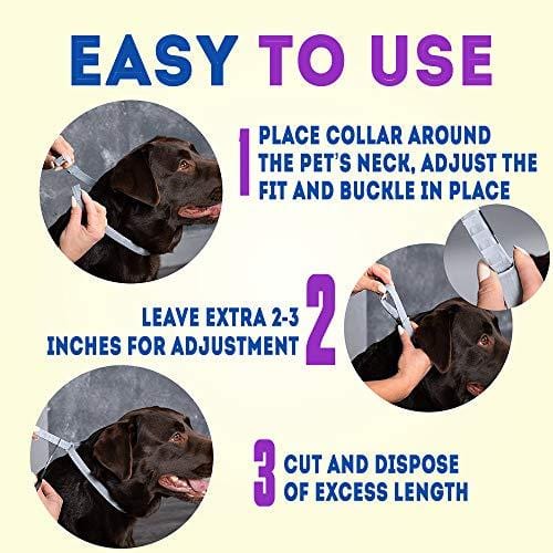 KEXMY Flea and Tick Collar for Dogs-Flea and Tick Prevention for Small, Medium or Large Dog - Waterproof Collar Flea Tick 2019