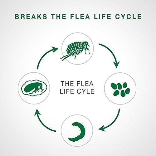 Bayer Advantage II Topical Flea Treatment Dogs