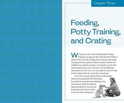 Training the Best Dog Ever: A 5-Week Program Using the Power of Positive Reinforcement - Ultra Pickleball