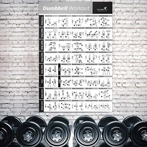 NewMe Fitness Dumbbell Workout Exercise Poster - Now Laminated - Strength Training Chart - Build Muscle, Tone & Tighten - Home Gym Weight Lifting Routine - Body Building Guide w/Free Weights