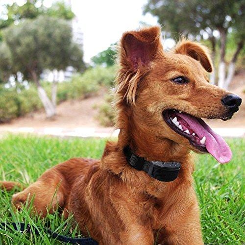 Vastar No Bark Dog Collar - Dog Collar, Training Anti Bark Shock Control with 7 Levels Button Adjustable Sensitivity Control, Stimulation of No Harm Warning Beep and Vibration for Dog (Black)