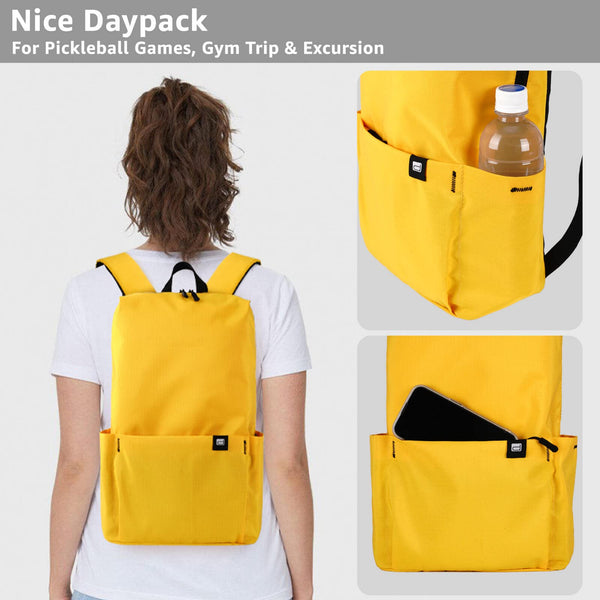 Pickleball-Paddle-Set of 2 Paddles and 4 Indoor Outdoor Balls in Backpack, Fiberglass Pickleball Rackets Pink, Blue for Men Women | Dinkhiiro Pickleball Equipment and Accessories for Adults, Kids