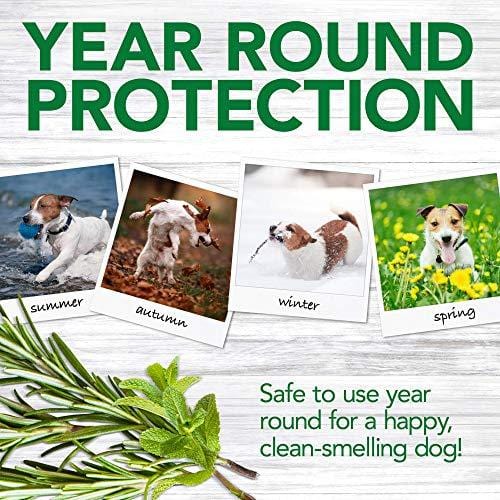 Vet's Best Flea and Tick Advanced Strength Dog Shampoo, 12 oz