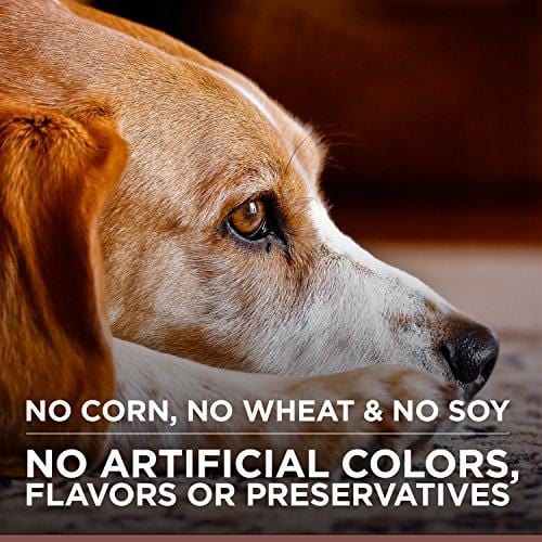 Hill'S Ideal Balance Adult Natural Dog Food, Chicken & Brown Rice Recipe Dry Dog Food, 30 Lb Bag