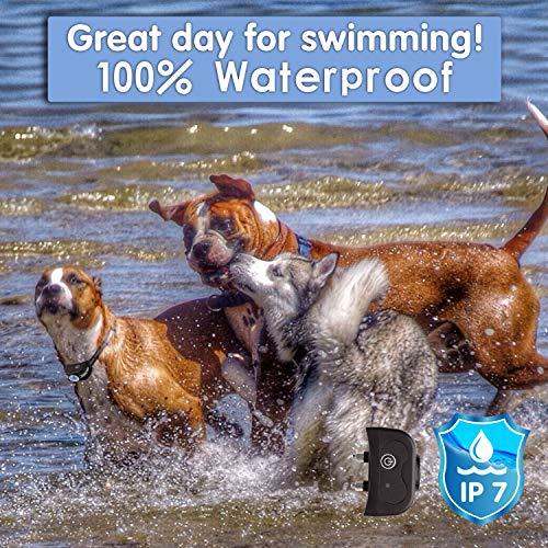 OKPET Wireless Dog Fence Pet Containment System, Safe Effective Beep/Shock Dog Fence, Adjustable Control Range 1000 Ft & Display Distance, Rechargeable Waterproof Collar (2 Dog System)