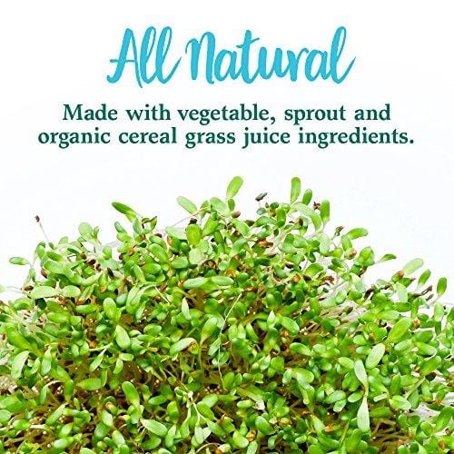 Garden of Life Whole Food Vegetable Supplement - Perfect Food Green Superfood Dietary Powder, 140g