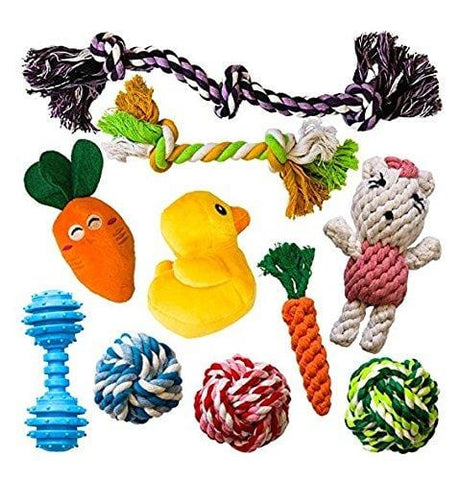 AMZpets 10 Most Popular Dog Toys for Small Dogs & Puppies. Squeaky Toys | Rope Toys | Plush Games | Chewing Ropes | Balls | Rubber Bone | Carry Bag. Variety Playing Set for Toss & Tug Play.