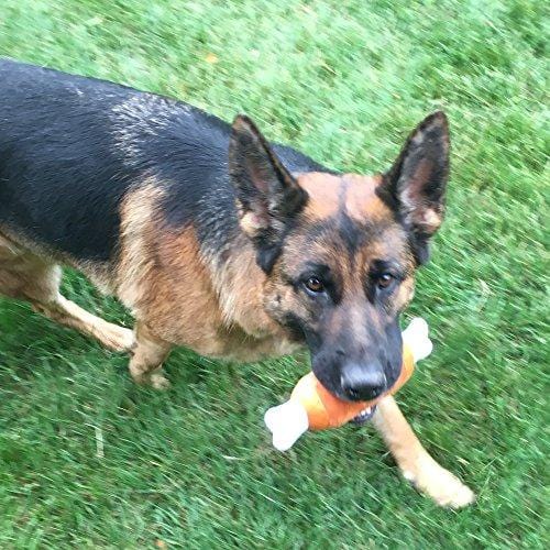 Jalousie 12 Pack Dog Squeaky Toys Cute Plush Toys for Small Medium Dog Pets