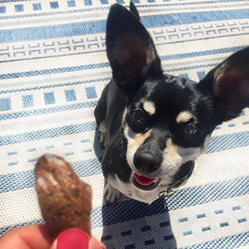 Green Butterfly Brands Organic Grain Free Dog Treats - Made in USA Only - All Natural, Meaty Beef Sticks - Premium Slow Roasted American Beef - Grass Fed, Farm Raised - Crunchy & Delicious - Dogs Love