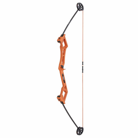 Bear Archery Valiant Bow Set