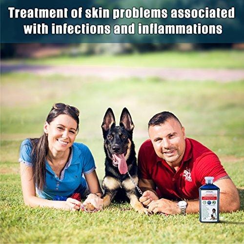 Arava natural medicated dog shampoo Clearance