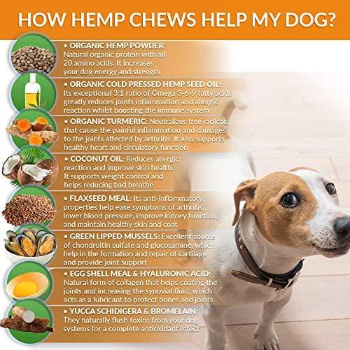 Hemp Hip and Joint Supplement for Dogs 120 Soft chews - Improves Mobility, Reduces Pain and Inflammation with Organic Hemp Oil, Turmeric, Green Lipped Mussel, Coconut oil,Omega 3-6 - MADE IN USA