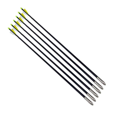 12 Pack 30 Inch Fiberglass Archery Arrows Hunting and Target Practice Arrows for Compound Bow and Recurve Bow