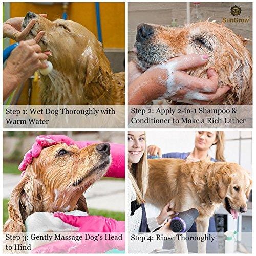 SunGrow Vet Trusted Pet Pet Shampoo Plus Conditioner for Cats/Dogs - 2-in-1 100% Organic, Medicinal - Essential Oil Extracts - Enriched with Aloe Vera/Coconut - 16 oz
