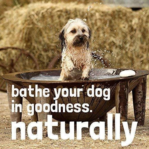 WashBar Natural Dog Shampoo - Twin Pack 100% Natural Soap Bar for Dry, Itchy or Sensitive Skin Grooming Made Easy with No Harsh Chemicals