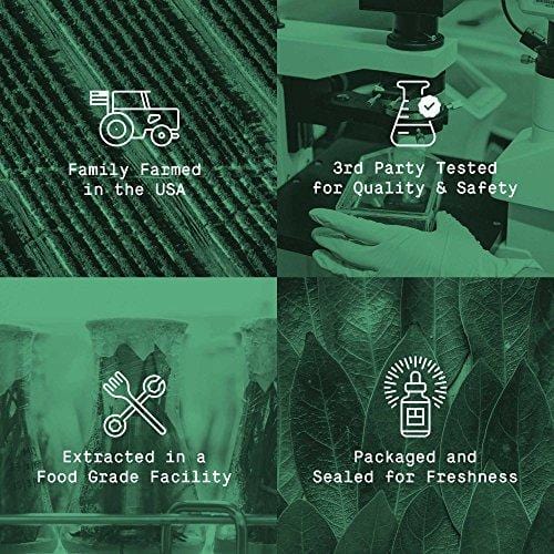 Berkwell Pure Whole Hemp Extract Oil for Dogs - 500mg 2oz - Supports Mobility and Calmness - Authentic USA Made Human-Grade Ingredients