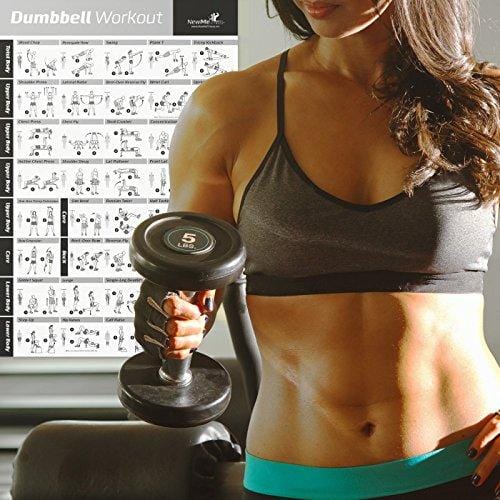 NewMe Fitness Dumbbell Workout Exercise Poster - Now Laminated - Strength Training Chart - Build Muscle, Tone & Tighten - Home Gym Weight Lifting Routine - Body Building Guide w/Free Weights