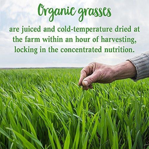 Garden of Life Raw Perfect Food Green Superfood Juiced Greens Powder Capsules - 30 Servings, Non-GMO, Gluten Free, Vegan Whole Food Dietary Supplement, Organic Greens, Juice Sprouts Probiotics, 240ct