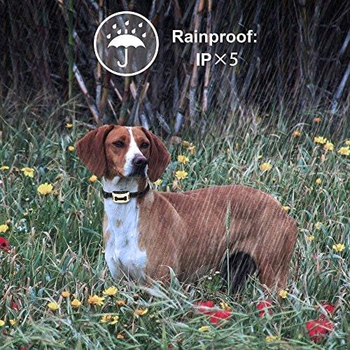 Aeetone Bark Collar Upgrade 7 Sensitivity Rechargeable Humane Dog No Bark Collar with Vibration and No Harm Shock for Small Medium Large Dog (Gold)
