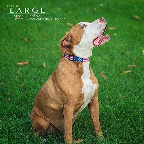 American Flag Dog Collar in 5 Different Sizes Classic (Large)