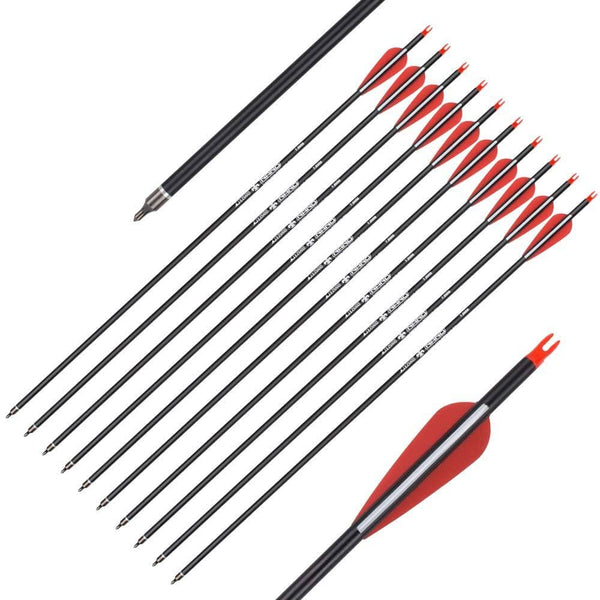 26 inch Carbon Arrow Hunting Arrows with 100 Grain Removable Tips for Archery Compound & Recurve & Traditional Bow Practice Shooting (Pack of 12)