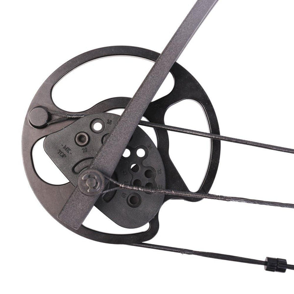 Leader Accessories Compound Bow 30-55lbs Archery Hunting Equipment with Max Speed 296fps (Green Camo. with Kit)