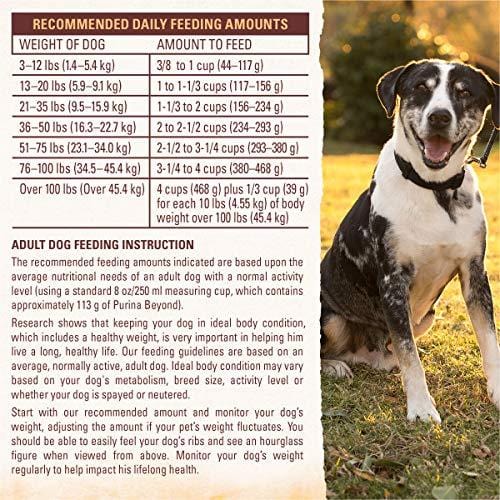 Purina Beyond Grain Free White Meat Chicken & Egg Recipe Adult Dry Dog Food - 23 lb. Bag