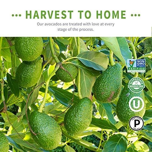 Chosen Foods 100% Pure Avocado Oil Spray 4.7 oz. (2 Pack), Non-GMO, 500° F Smoke Point, Propellant-Free, Air Pressure Only for High-Heat Cooking, Baking and Frying - Ultra Pickleball