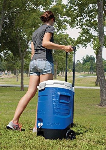 Igloo Sport Roller Beverage Cooler (Majestic Blue, 5-Gallon) [product _type] Igloo - Ultra Pickleball - The Pickleball Paddle MegaStore