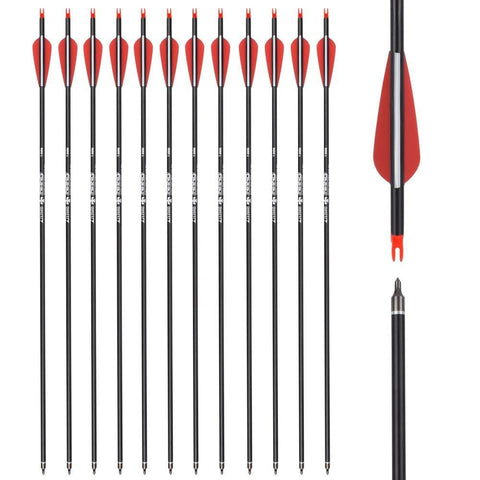 26 inch Carbon Arrow Hunting Arrows with 100 Grain Removable Tips for Archery Compound & Recurve & Traditional Bow Practice Shooting (Pack of 12)
