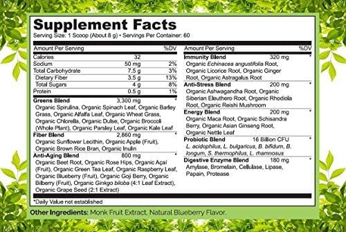 NATURELO Raw Greens Superfood Powder - Best Supplement to Boost Energy, Detox, Enhance Health - Organic Spirulina & Wheat Grass - Whole Food Vitamins from Fruit & Vegetable Extracts - 60 Servings