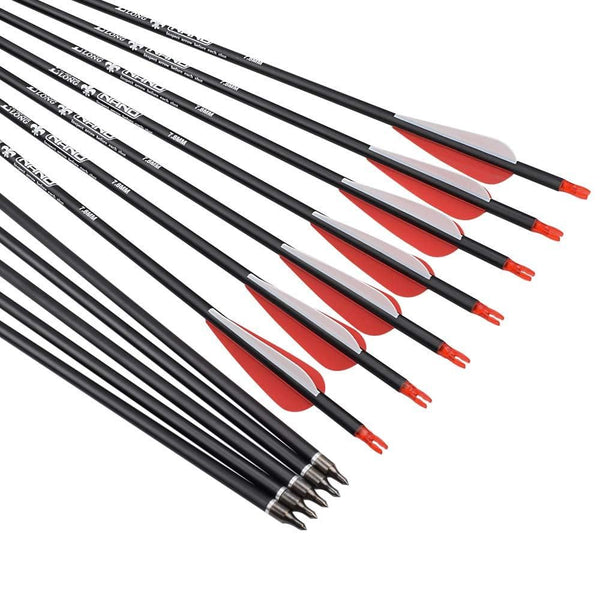 26 inch Carbon Arrow Hunting Arrows with 100 Grain Removable Tips for Archery Compound & Recurve & Traditional Bow Practice Shooting (Pack of 12)