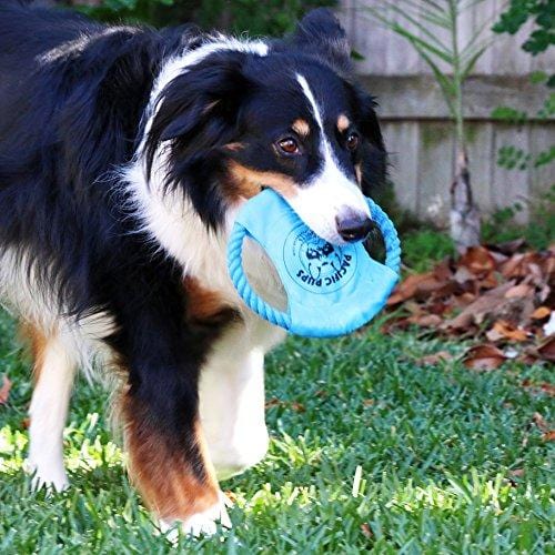 Pacific Pups Products supporting pacificpuprescue.com Dog Rope Toys for Aggressive Chewers - Set of 11 Nearly Indestructible Dog Toys - Bonus Giraffe Rope Toy - Benefits NONPROFIT Dog Rescue