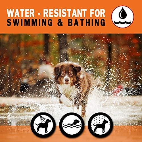 TUZIK Flea Collar for Dogs - 12 Months Flea and Tick Prevention - Dog Flea and Tick Treatment - Stable, Durable and Waterproof Flea and Tick Collar