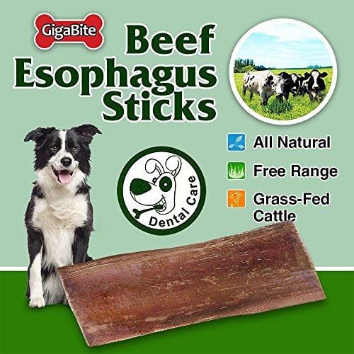 GigaBite Best Pet Supplies FDA & USDA Certified Free Range Bully Taffy Esophagus Gullet Dog Treats - 6 Inch, Pack of 24