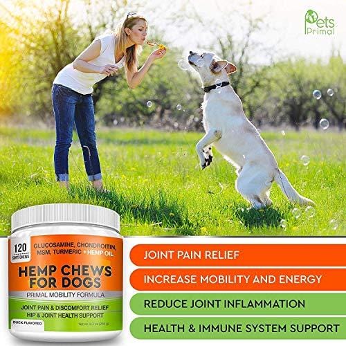 Pets Primal Hemp Hip & Joint Supplement for Dogs - Mobility Chews w/Glucosamine for Dogs - Joint Pain Relief - Reduce Inflammation - w/Chondroitin, MSM, Turmeric, Organic Hemp Seed Oil, Hemp Protein