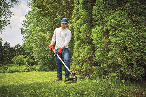 CRAFTSMAN V20 String Trimmer / Edger (CMCST910M1)
