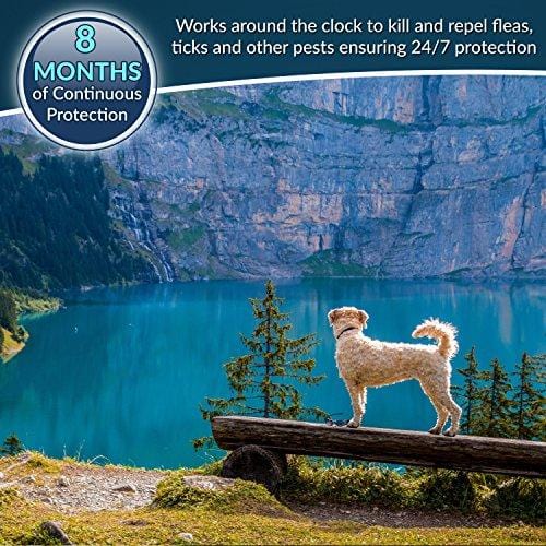 Premium Flea and Tick Collar for Dogs | Prevents and Removes Fleas, Ticks, Lice and Mosquitos in 24 Hours | 8 Months Protection | 100% Natural Essential Oil Flea and Tick Prevention for Dogs