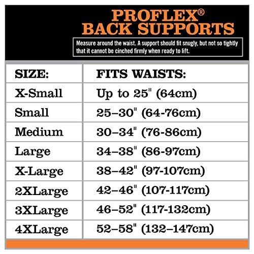 Ergodyne ProFlex 1650 Elastic Back Support, Large