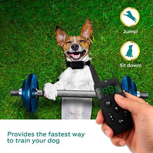 All-New 2019 Dog Training Collar with Remote | Long Range 1600', Shock, Vibration Control, Rechargeable & Ipx7 Waterproof | E-Collar Shock Collar for Dogs Small, Medium, Large Size, All Breeds
