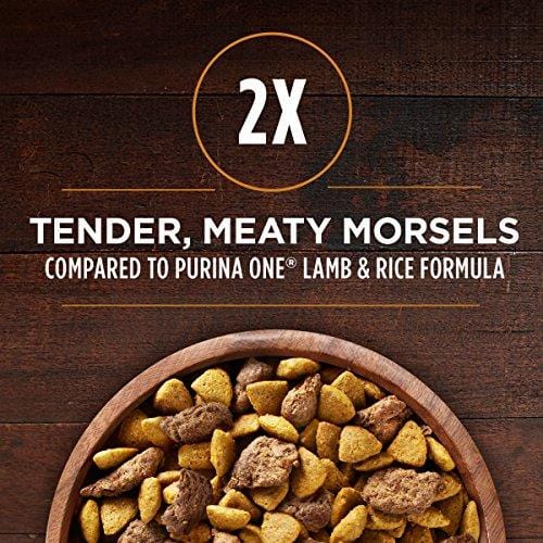 Purina ONE High Protein Natural Dry Dog Food; SmartBlend True Instinct With Real Turkey & Venison - 27.5 lb. Bag