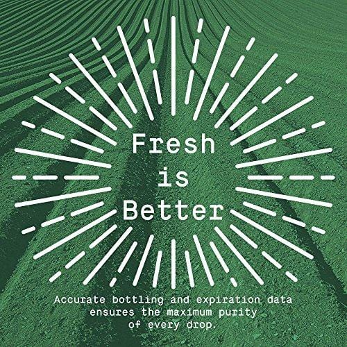 Berkwell Pure Whole Hemp Extract Oil for Dogs - 500mg 2oz - Supports Mobility and Calmness - Authentic USA Made Human-Grade Ingredients